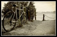 Trzydziesty szsty rower australijski / 36th Australian Bicycle, Sydney, 20.02.2010